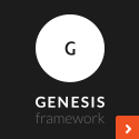 Genesis Framework