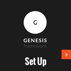 Genesis Framework Set Up